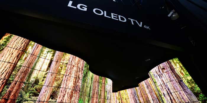 LG OLED Canyon 2