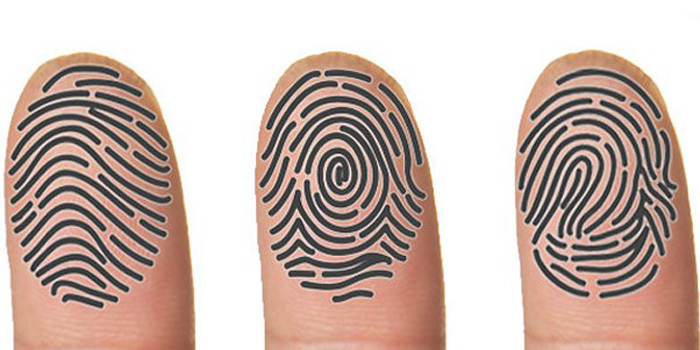 fingerprint lock