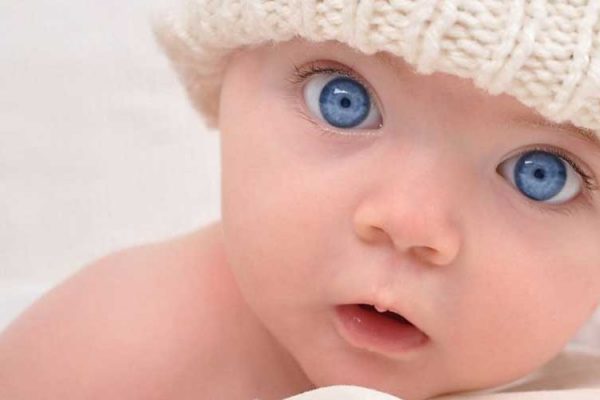 آمار تولد