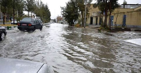 سیل