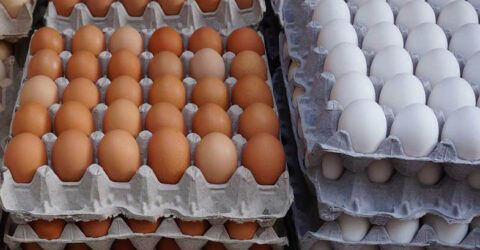 50743 Livestock farmers 372