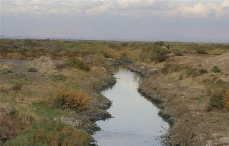 محیط زیست وجود آرسنیک و سیانور در گردوغبار تالاب بندعلیخان را تکذیب کرد 1 32176