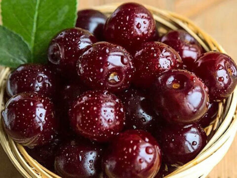 آلبالو؛ ضد التهاب، ضد سرطان و محافظ قلب 3 5600747