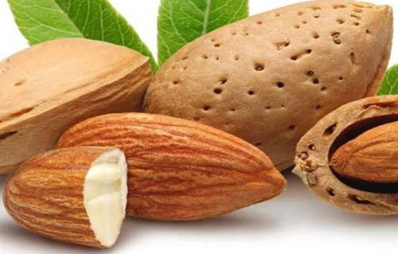 خواص و مضرات بادام تلخ 1 12097