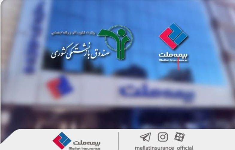 IMG 20251215 125217 385